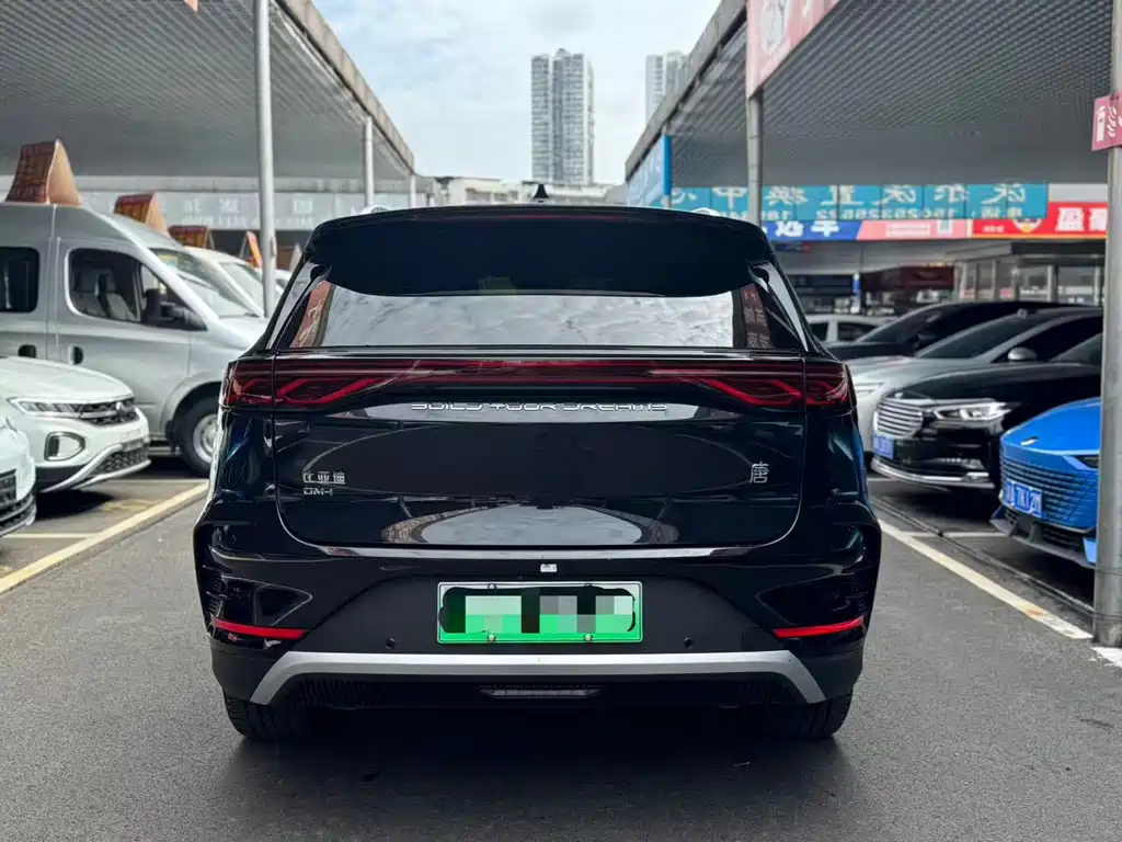 BYD Tang New Energy — миниатюра 11