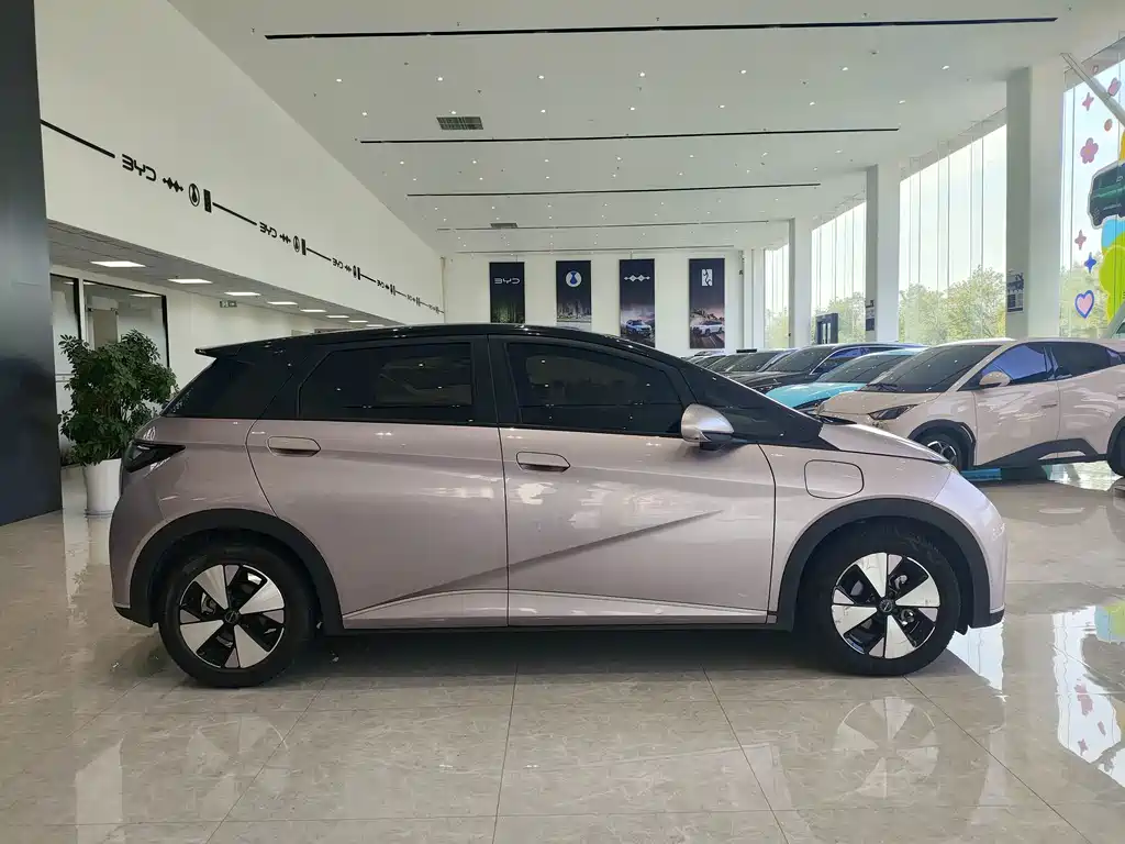 BYD Dolphin — миниатюра 4