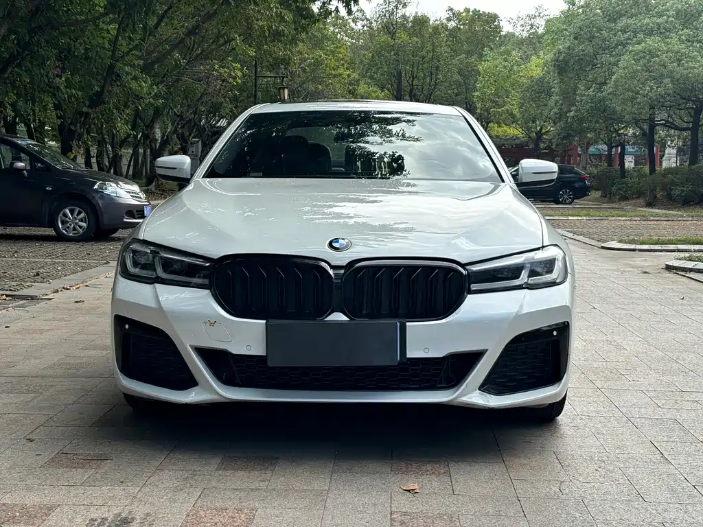 BMW 5 Series — миниатюра 2