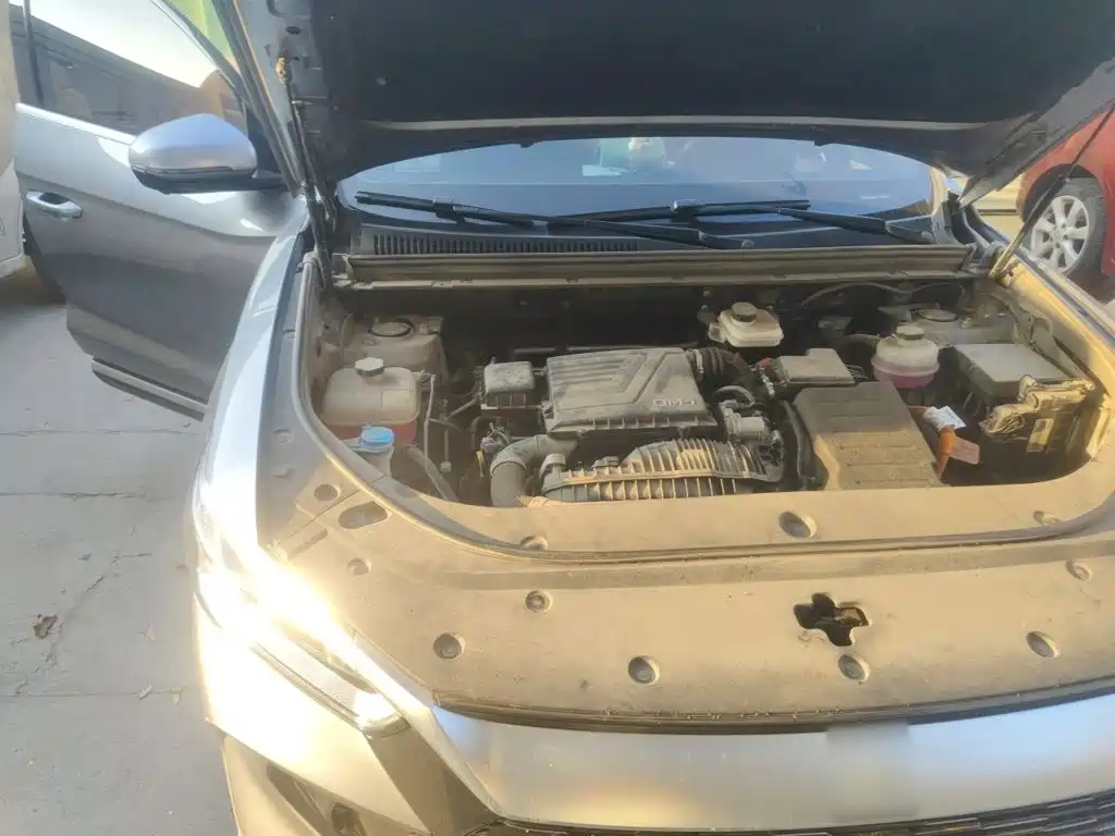 BYD Pro New Energy — миниатюра 20