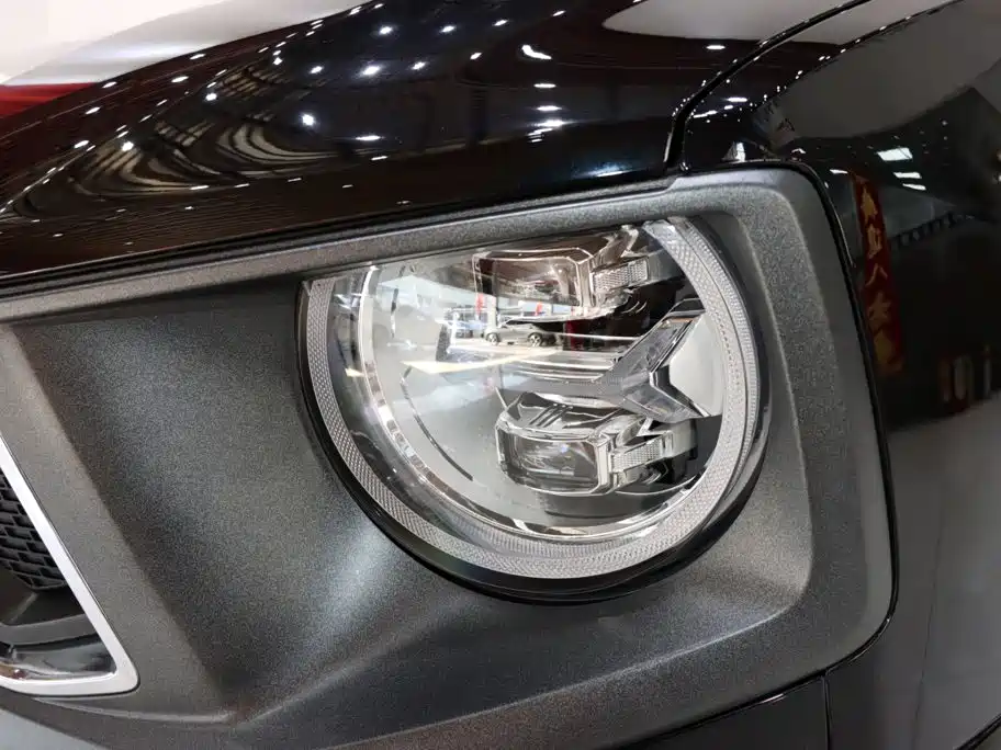 Haval Big Dog PLUS — миниатюра 7