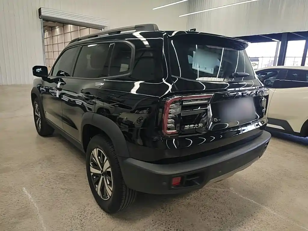 Haval Big Dog — миниатюра 5