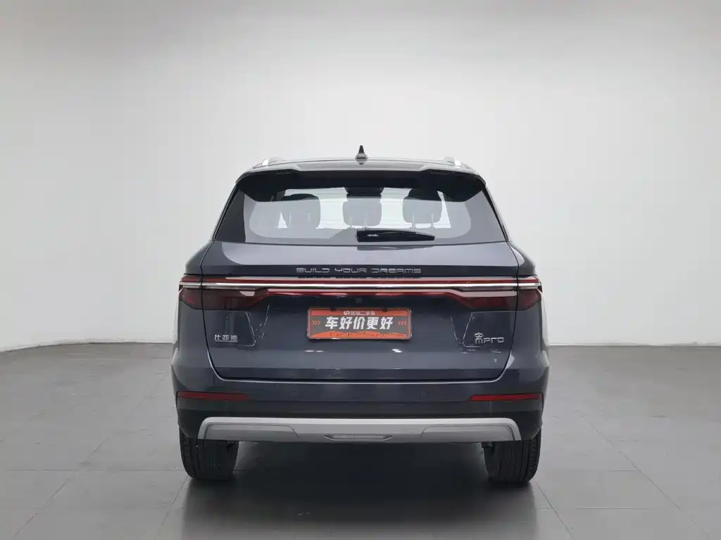 BYD Pro — миниатюра 4