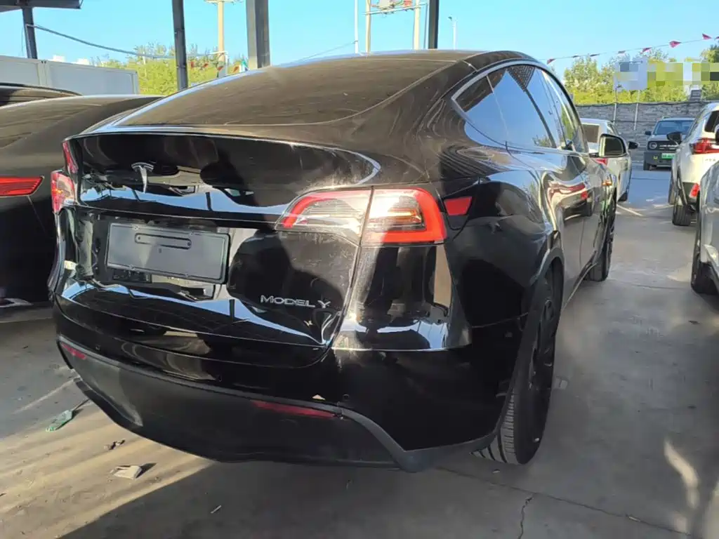 Tesla Model Y — миниатюра 7