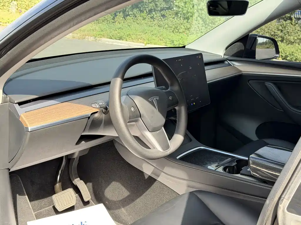 Tesla Model Y — миниатюра 5