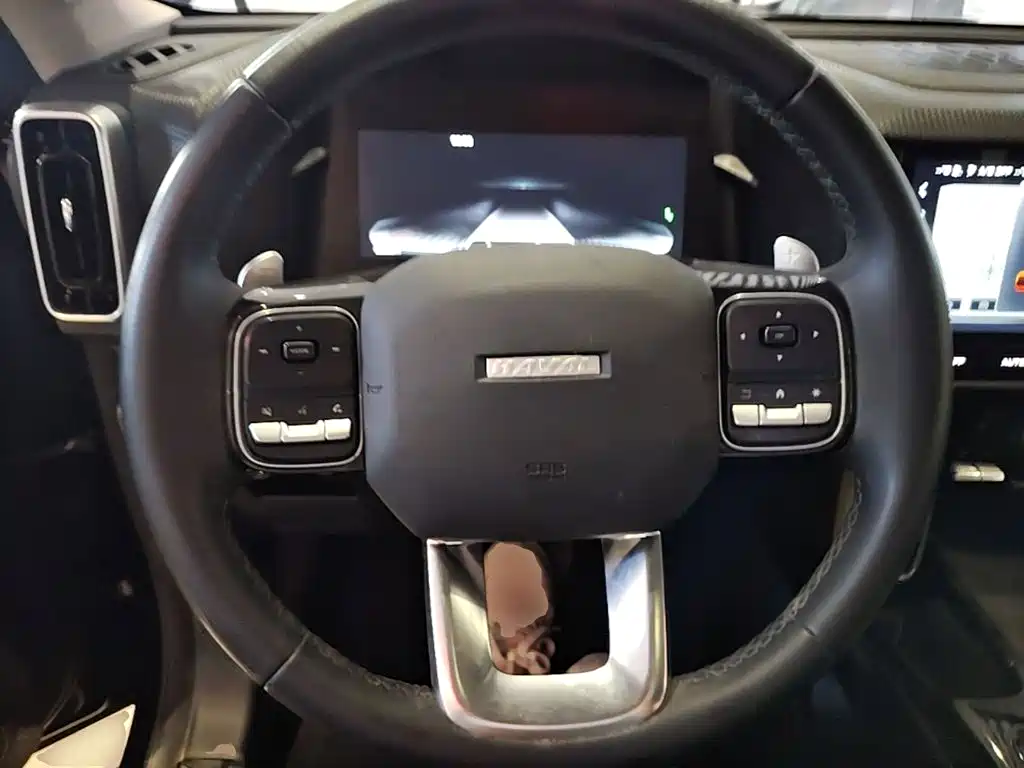 Haval Big Dog — миниатюра 11