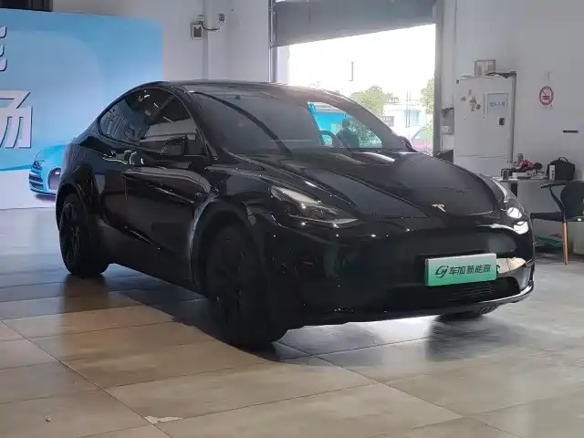Tesla Model Y — миниатюра 3