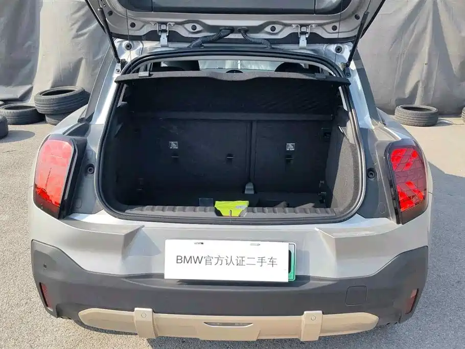 MINI MINI ACEMAN EV — миниатюра 13