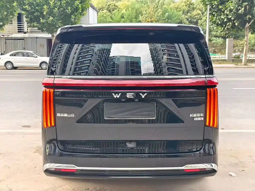 Wey Wey Gaoshan New Energy — миниатюра 8