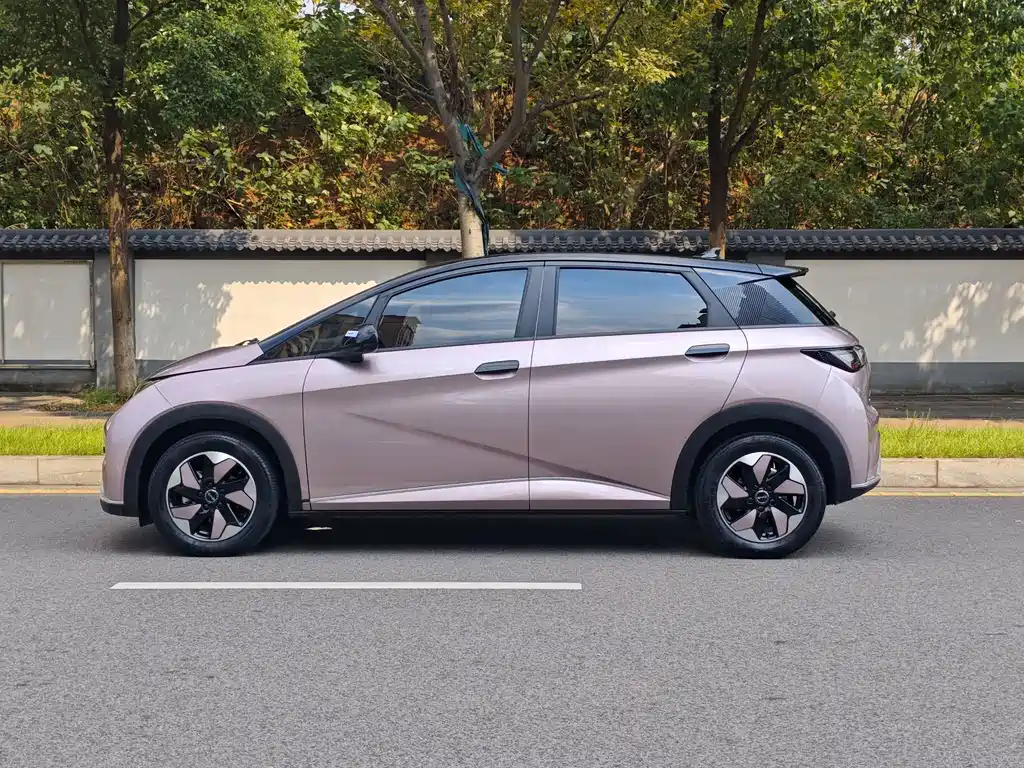 BYD Dolphin — миниатюра 6