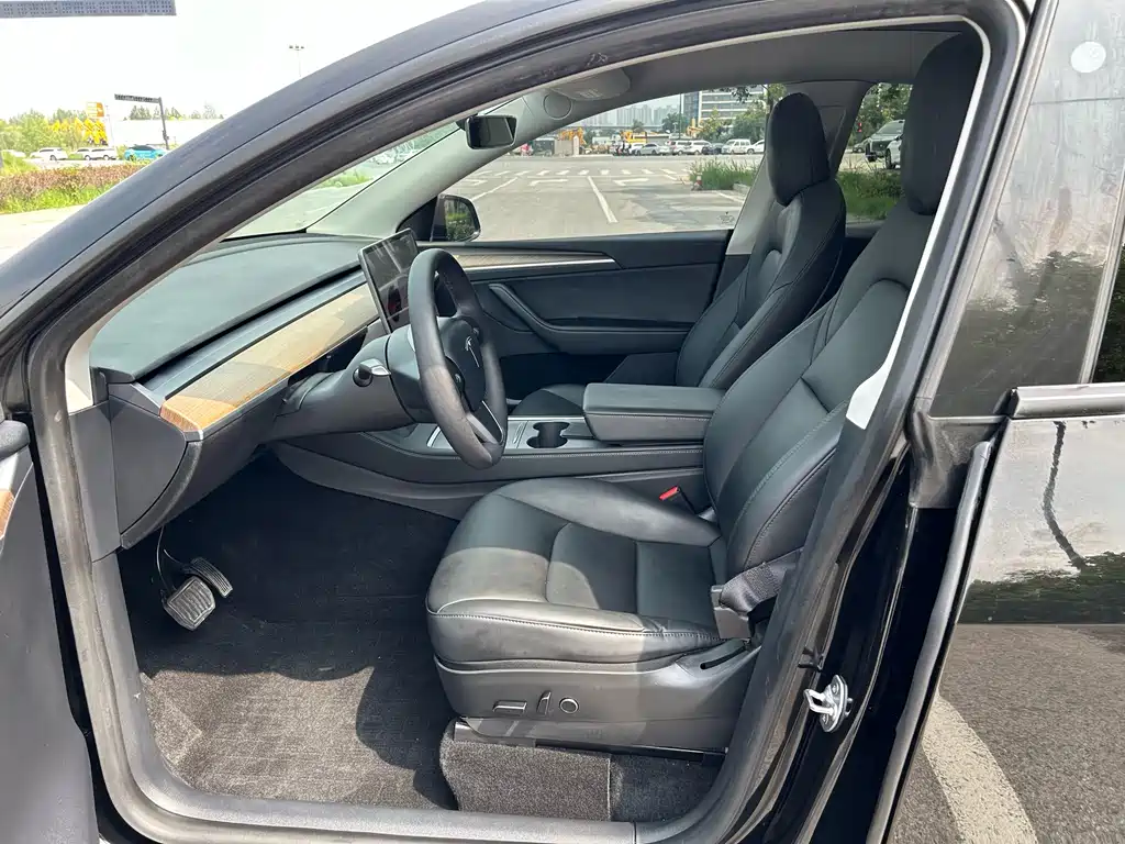 Tesla Model Y — миниатюра 5