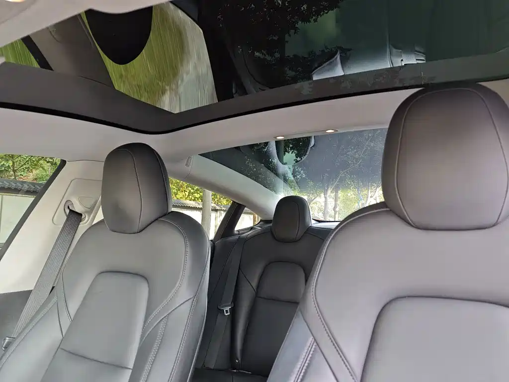 Tesla Model 3 — миниатюра 6
