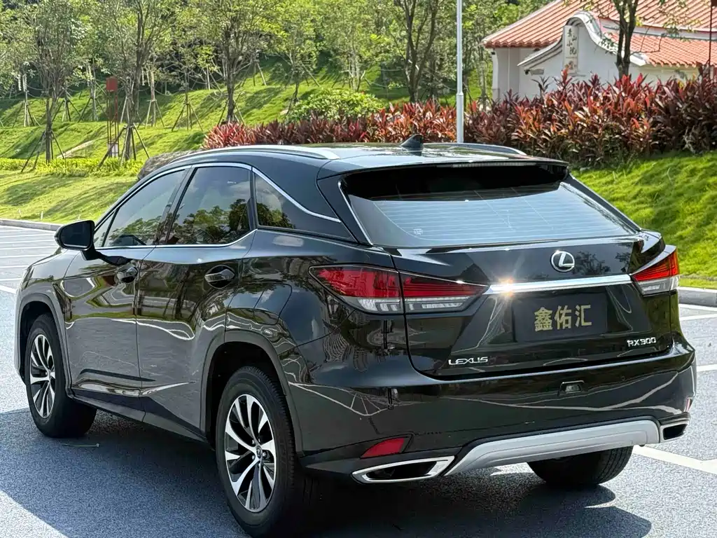 Lexus RX — миниатюра 8