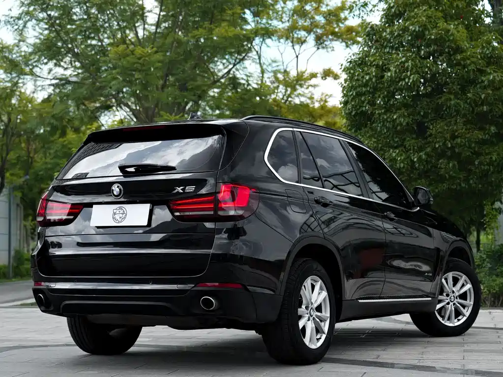 BMW X5 (Import) — миниатюра 18