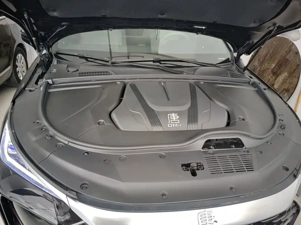 BYD Tang New Energy — миниатюра 20