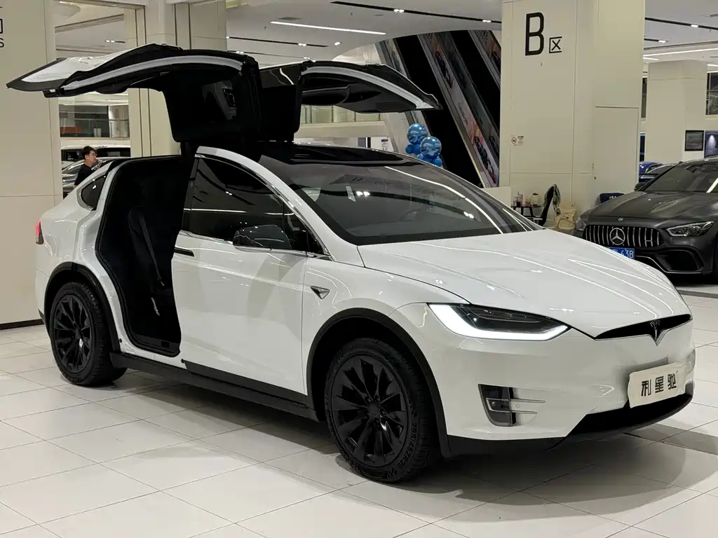 Tesla Model X — миниатюра 3