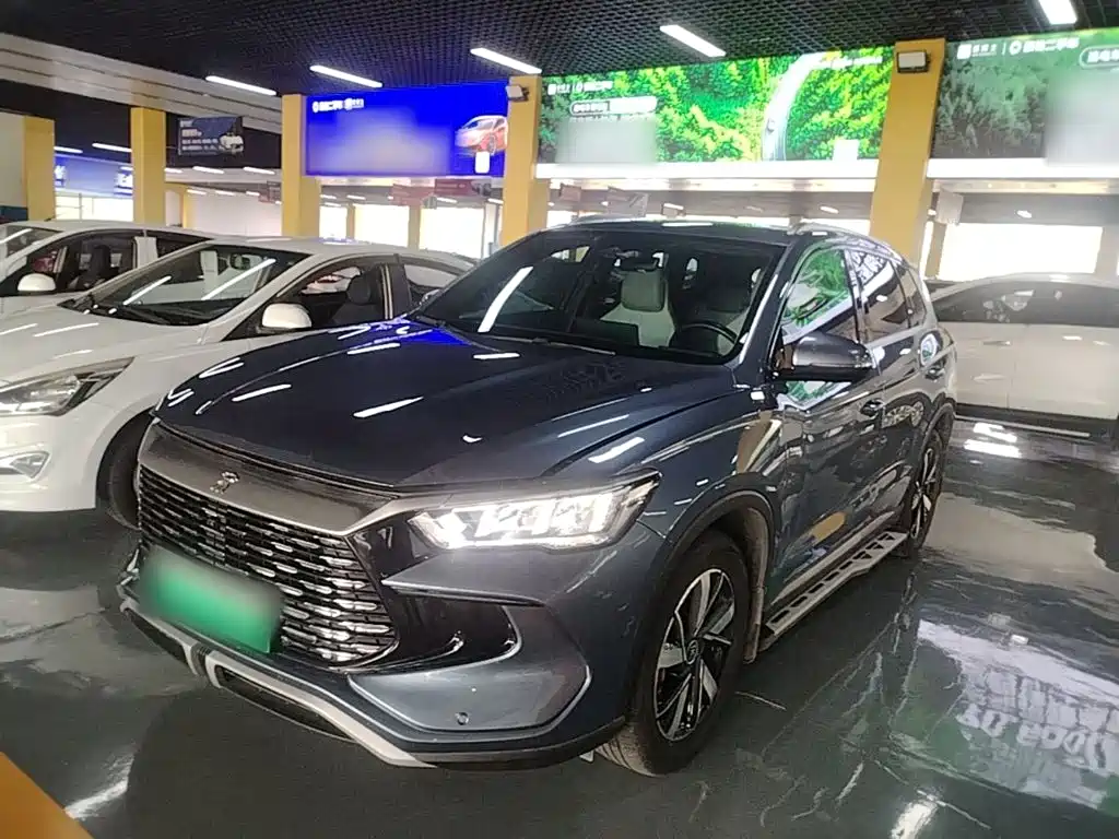 BYD Pro New Energy — миниатюра 2