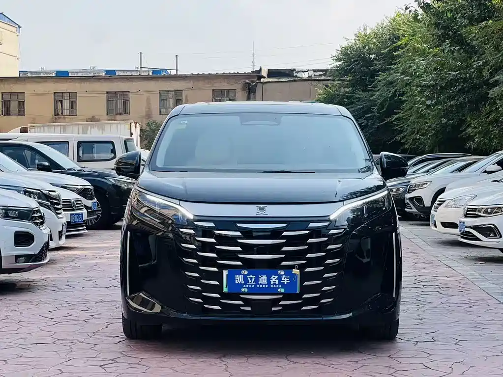 BYD Xia - фото 2