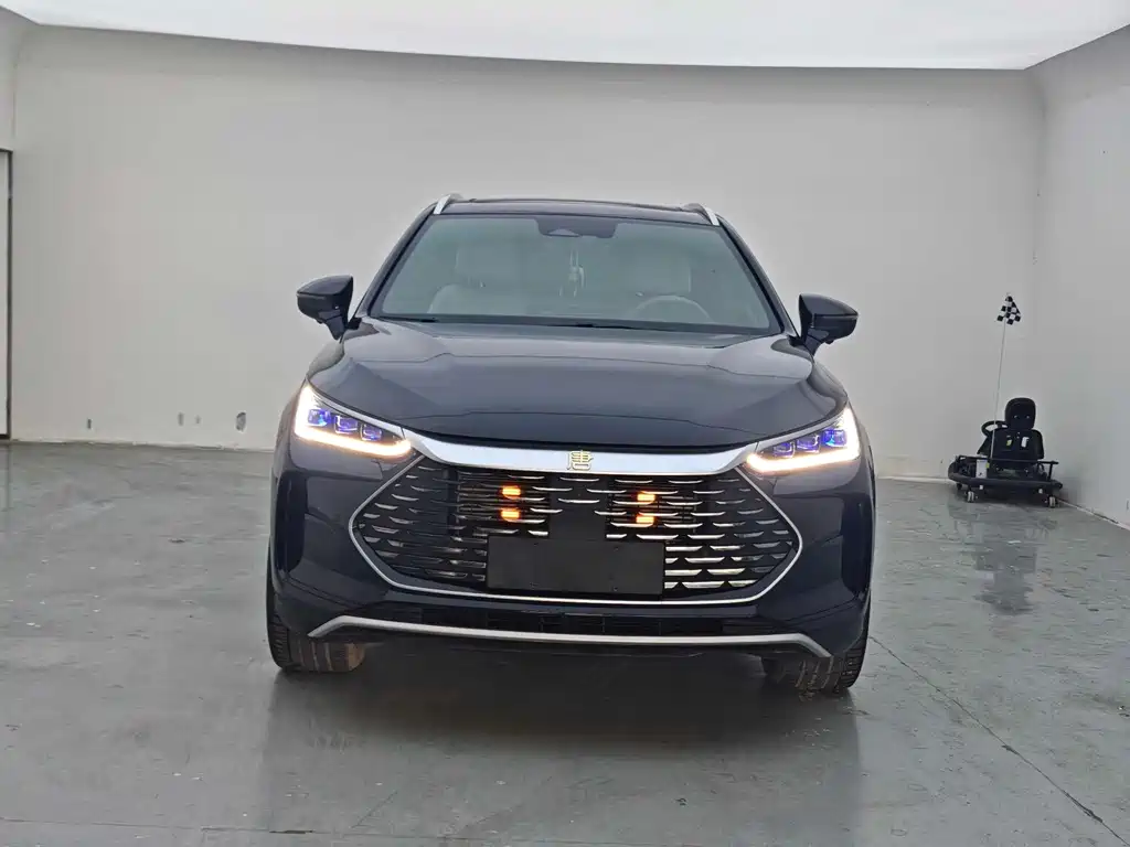 BYD Tang New Energy — миниатюра 2