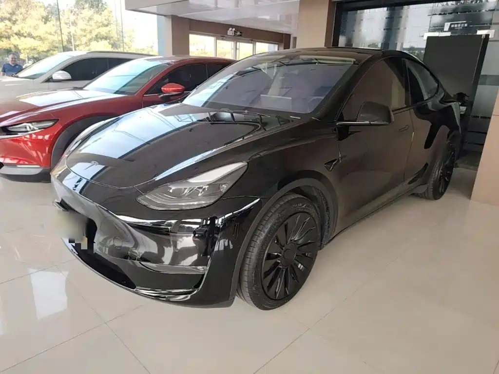 Tesla Model Y — миниатюра 2