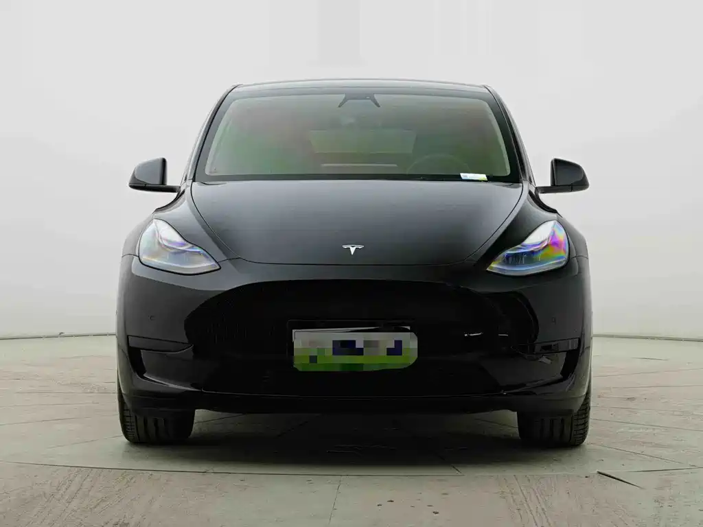 Tesla Model Y — миниатюра 2