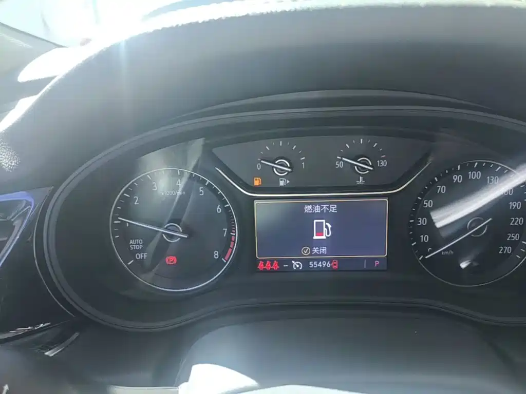 Buick Regal — миниатюра 12