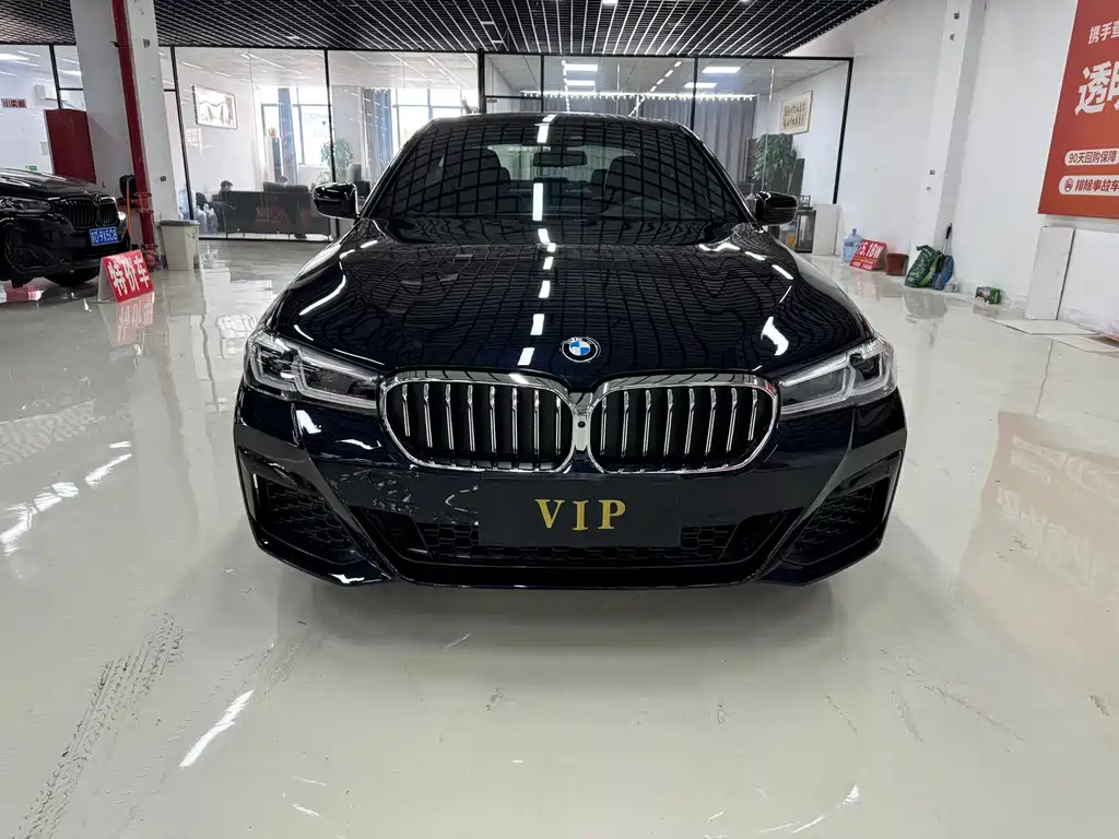 BMW 5 Series (Import) — миниатюра 8