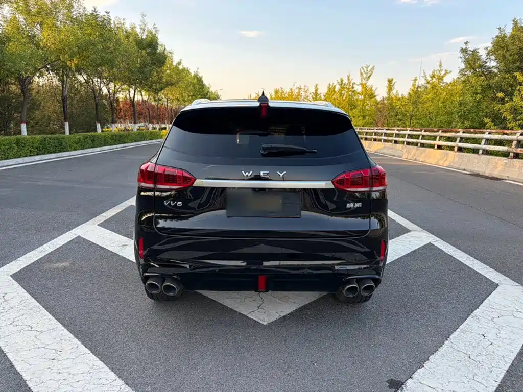 Wey Wey VV6 — миниатюра 7