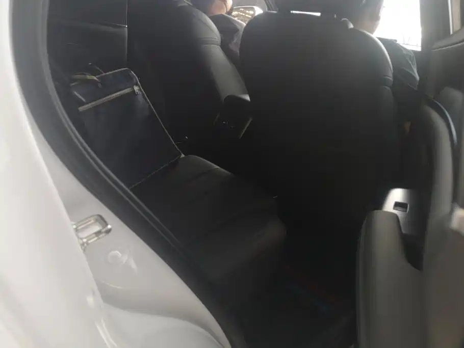 BYD Song Pro Pro 2025 DM-i 75KM Lead