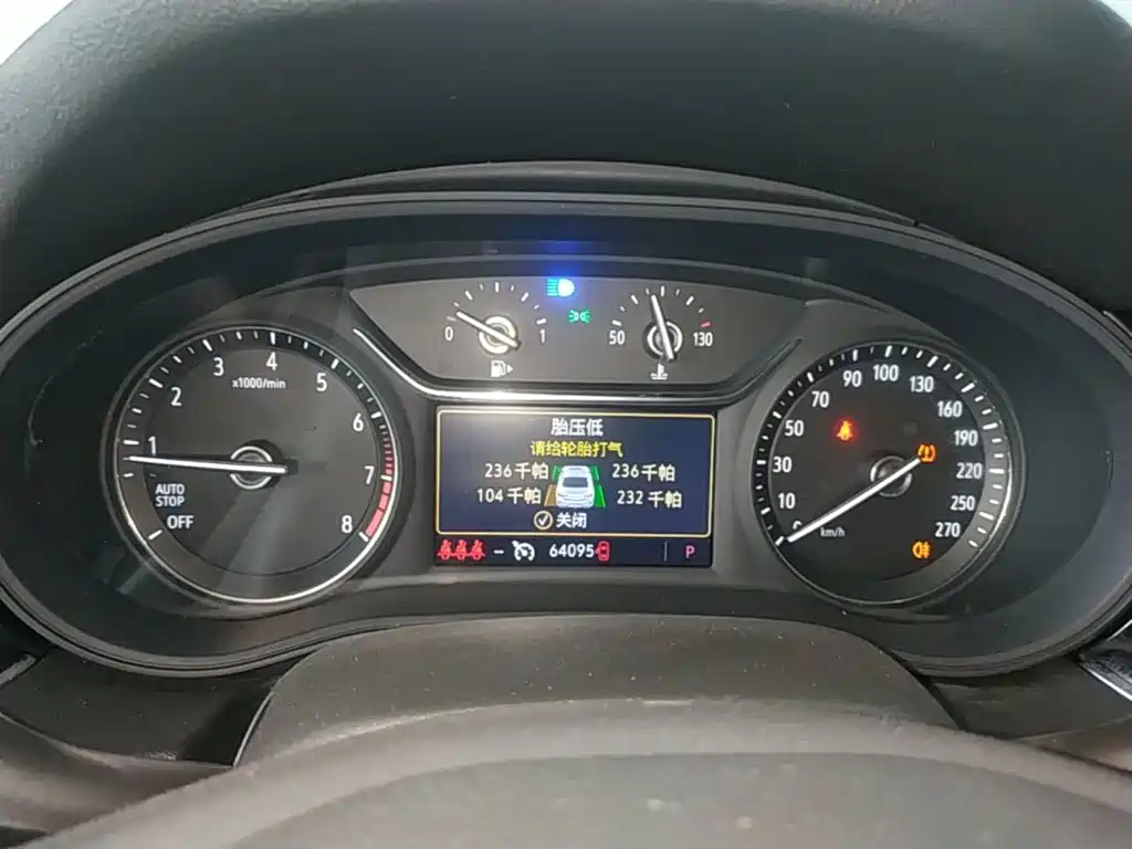 Buick Regal — миниатюра 12