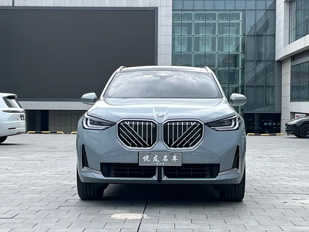 BMW X3 — миниатюра 2