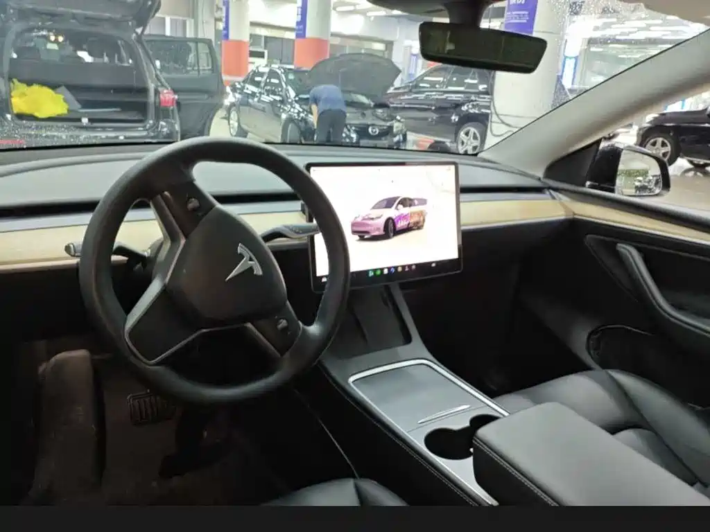Tesla Model Y — миниатюра 5