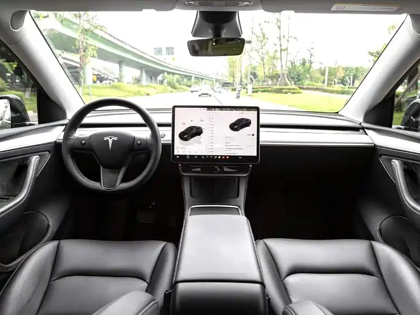 Tesla Model Y — миниатюра 4
