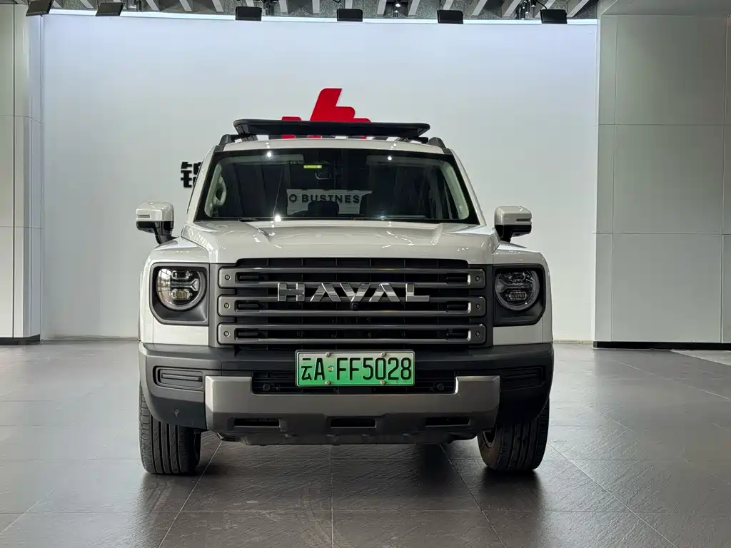 Haval Menglong New Energy — миниатюра 2
