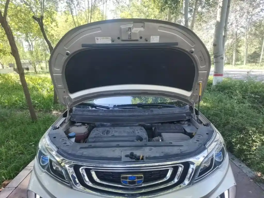 Geely Vision X3 — миниатюра 19