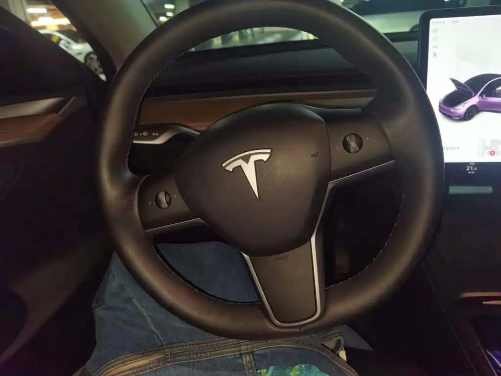 Tesla Model Y — миниатюра 3