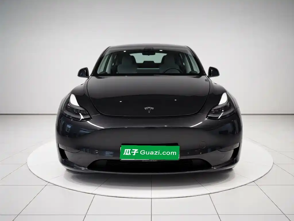 Tesla Model Y — миниатюра 23