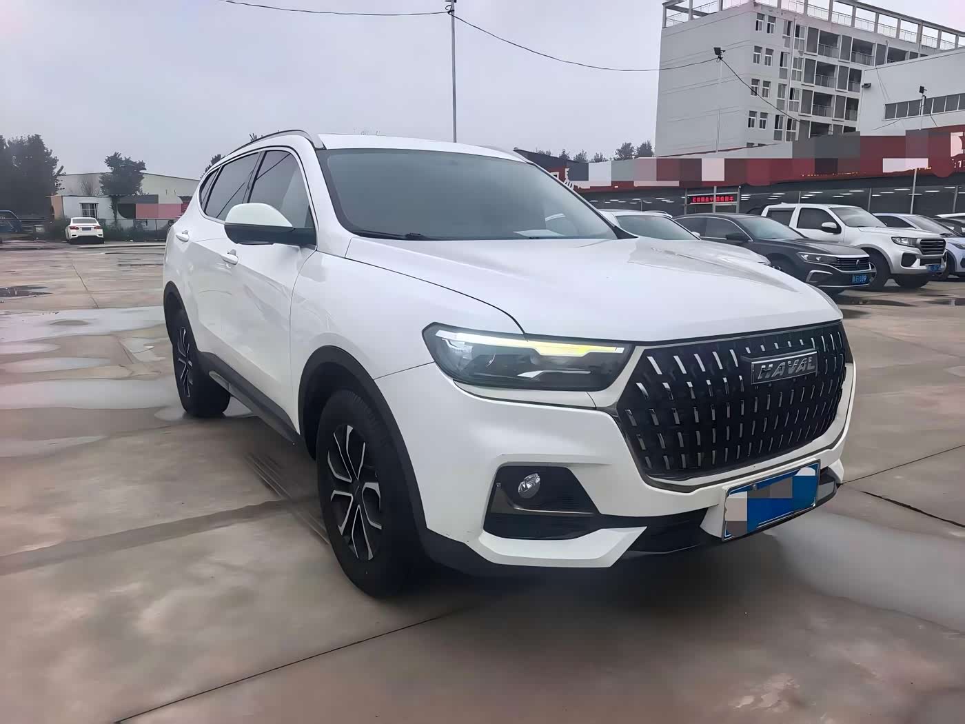 Haval Haval H6 1.5 л 2024 г. Белый, пробег 43000 км