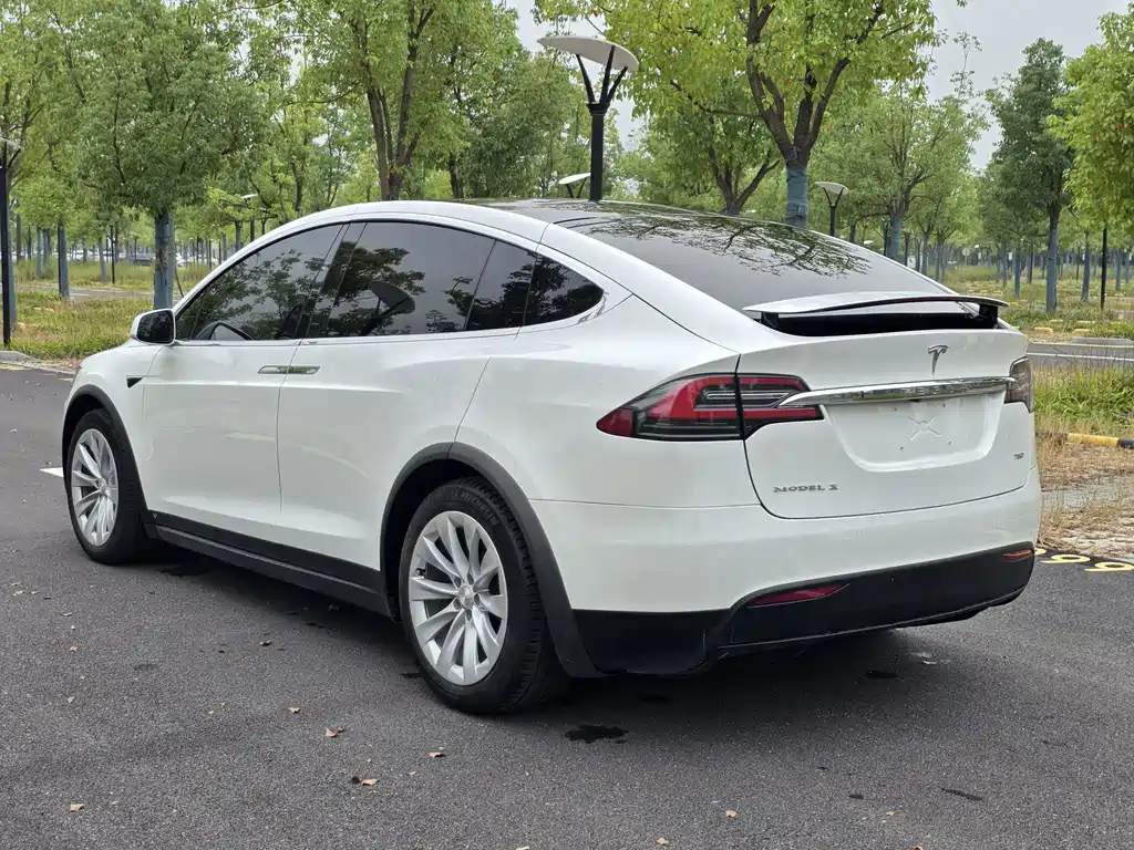 Tesla Model X — миниатюра 6