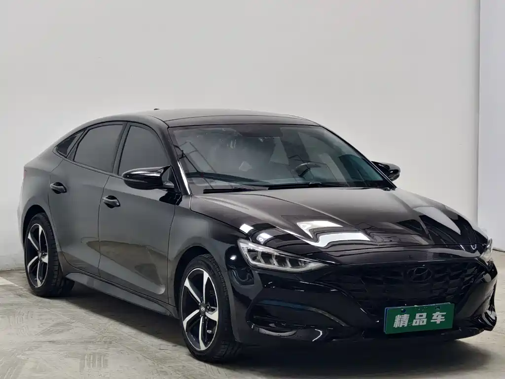 Hyundai Fista — миниатюра 3