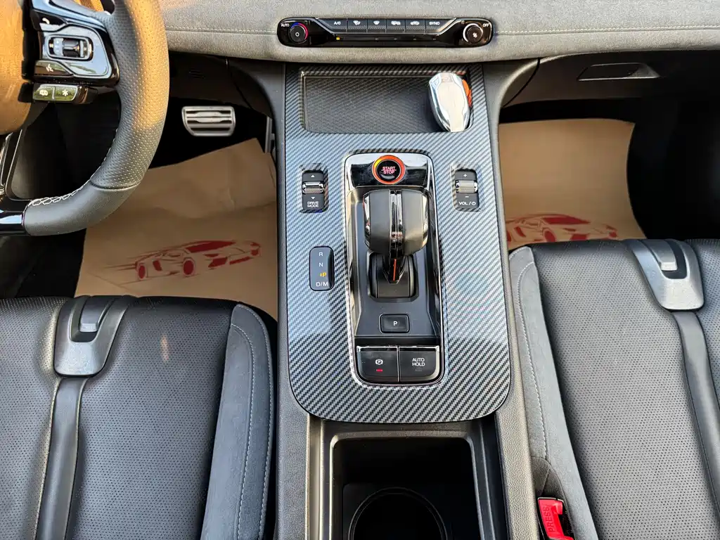 GAC Motor Shadow Leopard — миниатюра 20