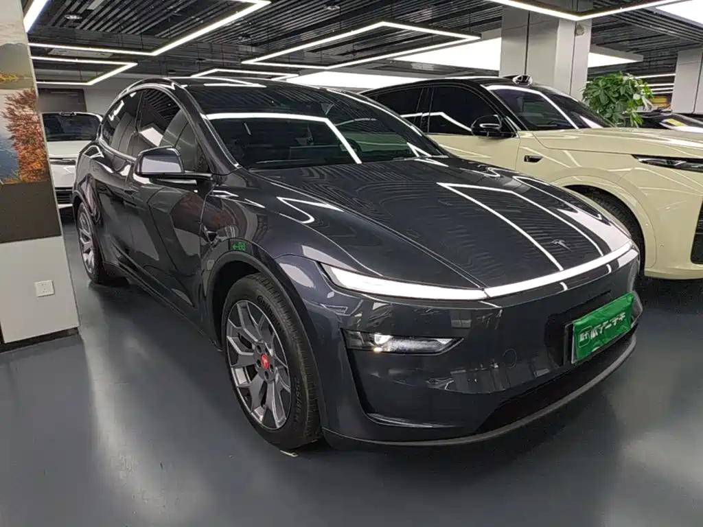 Tesla Model Y L — миниатюра 4