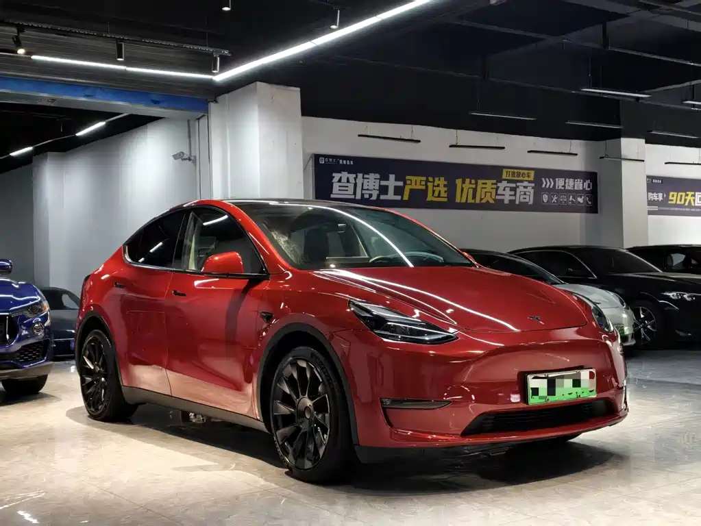 Tesla Model Y — миниатюра 3
