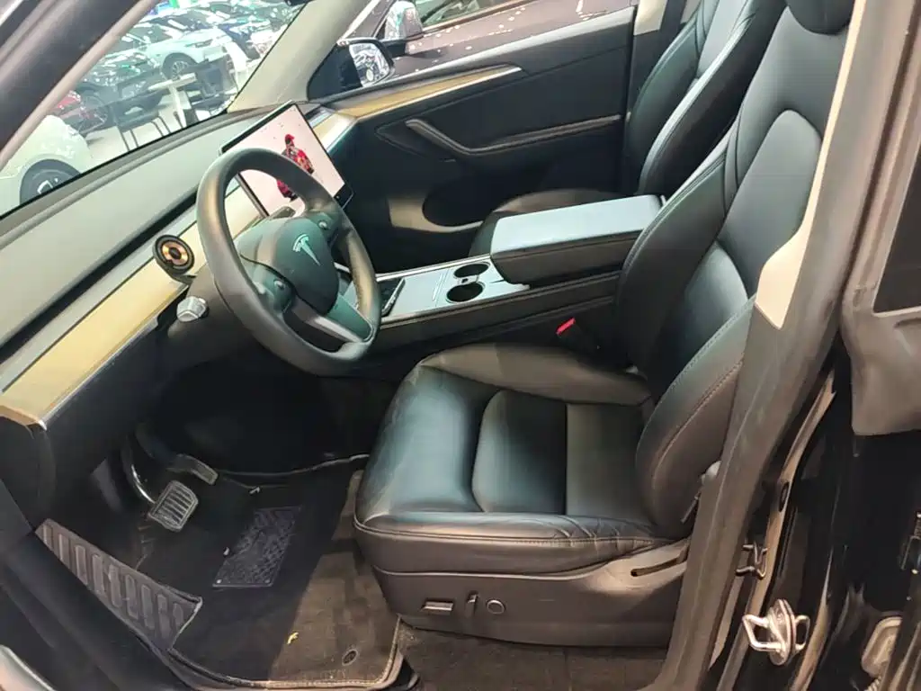 Tesla Model Y — миниатюра 15