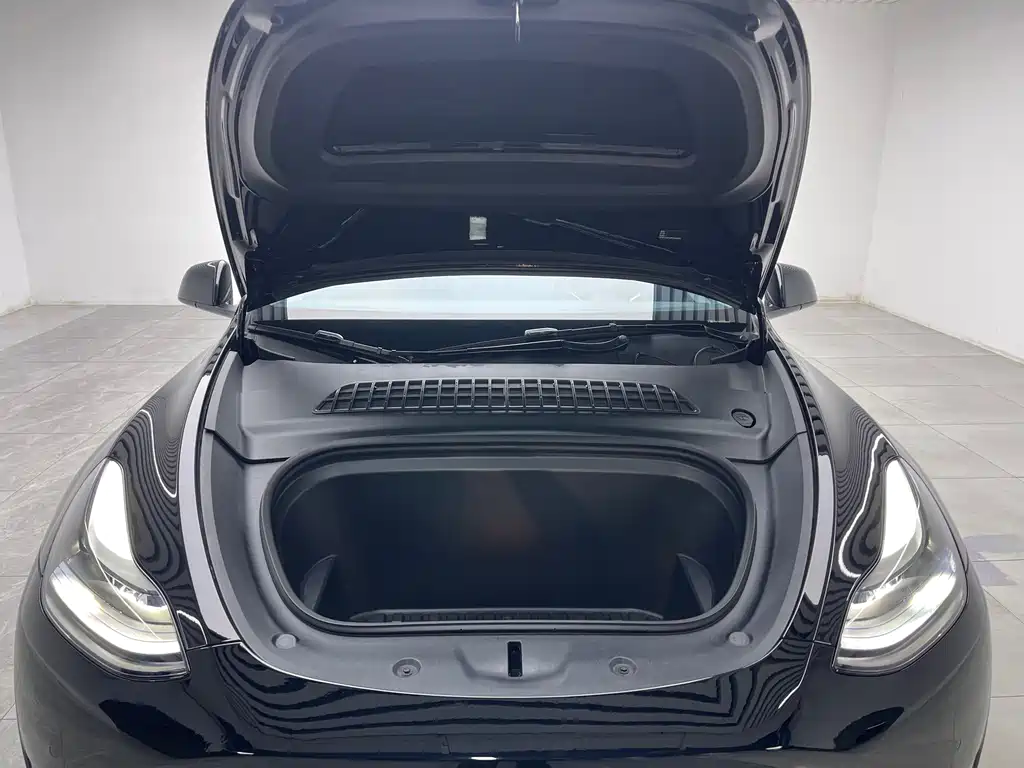 Tesla Model Y — миниатюра 9