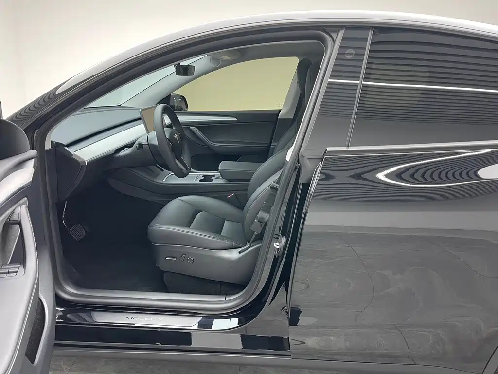 Tesla Model Y — миниатюра 16