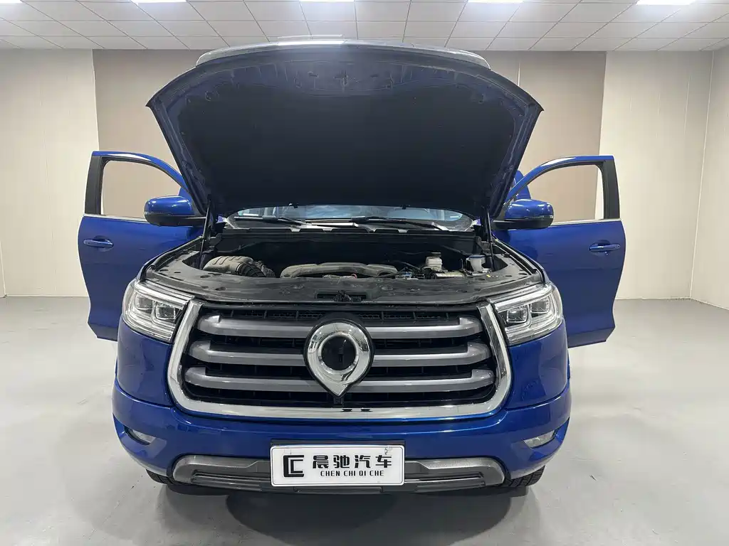 Great Wall Pao — миниатюра 16