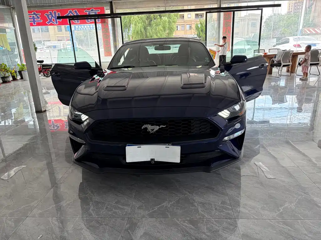 Ford Mustang — миниатюра 9