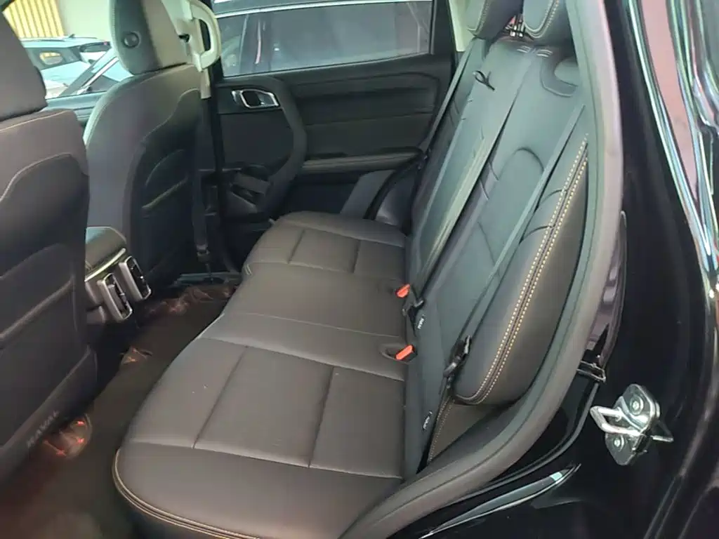 Haval Big Dog — миниатюра 17