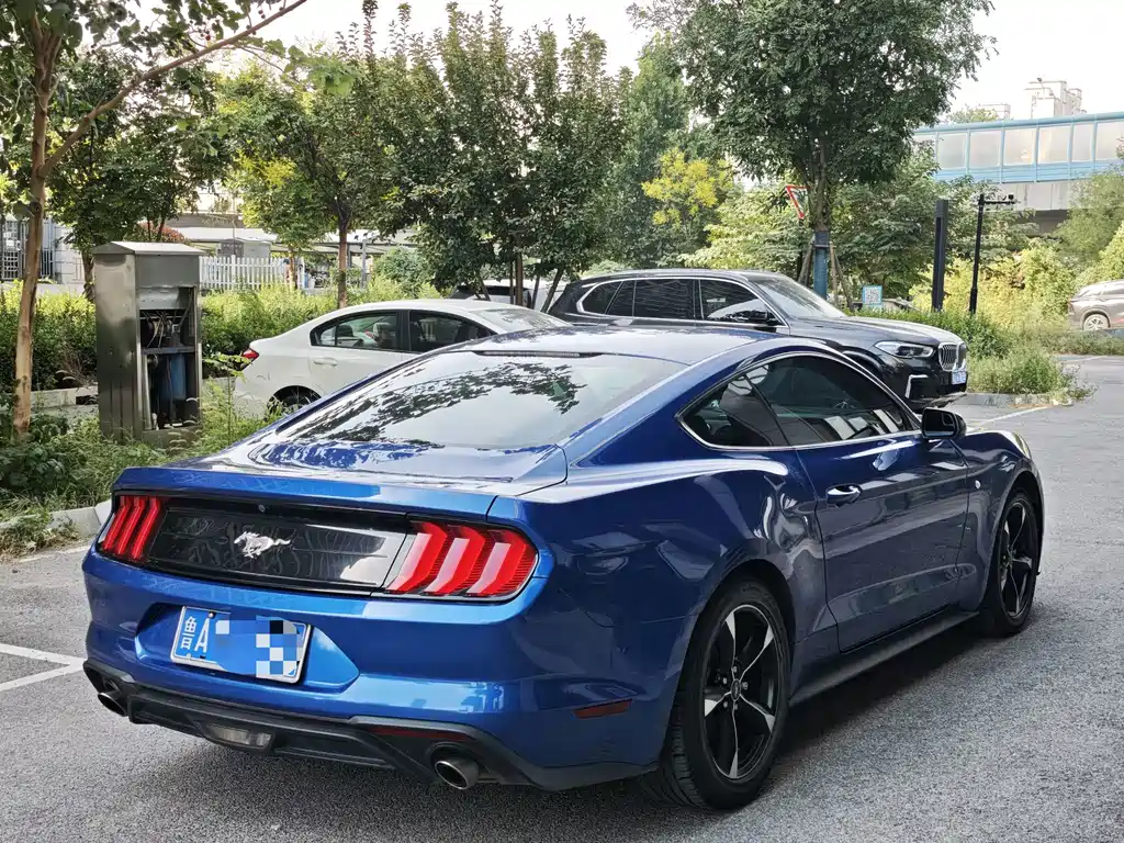 Ford Mustang — миниатюра 7